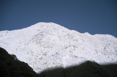 f0186527_20502830.jpg