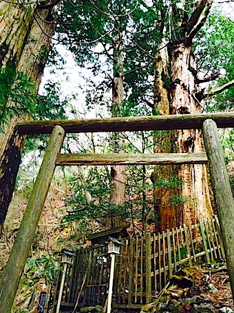 神武の来た道 ⑫ 玉置神社末社 玉石社_a0300530_07185224.jpg