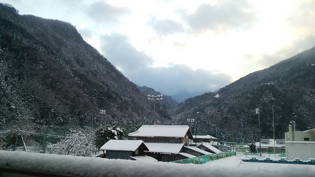 １月25日、一昨日の夜から雪が降り始め真っ白な光景が続いています。_c0089831_882736.jpg