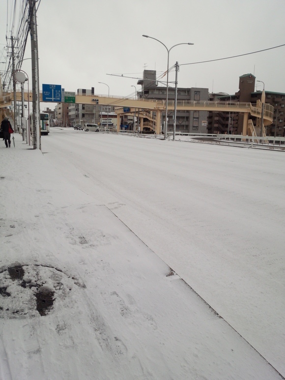 雪だぁ～(´▽｀*)_b0086532_14534632.jpg