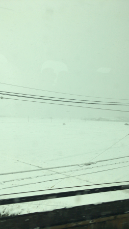 d0005632_21085101.jpg