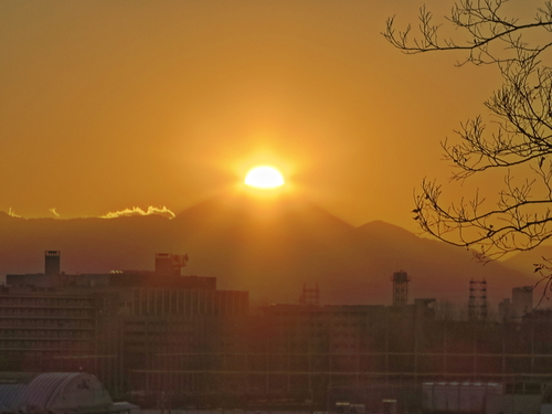 e0321032_2259174.jpg