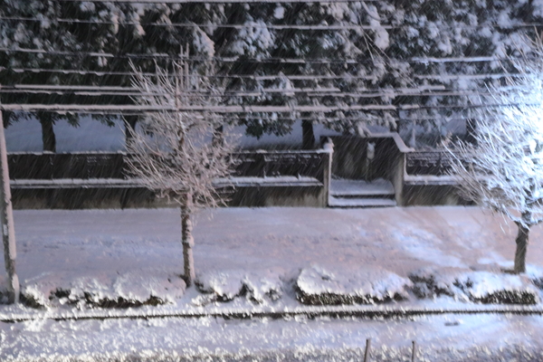 f0229832_9341651.jpg