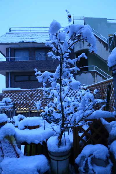 f0229832_9394664.jpg