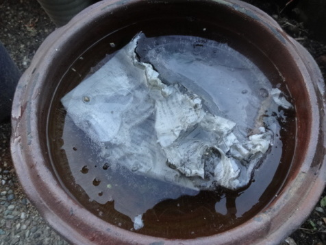 f0142733_17302412.jpg