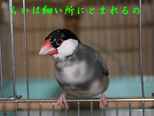 c0365734_22474823.jpg