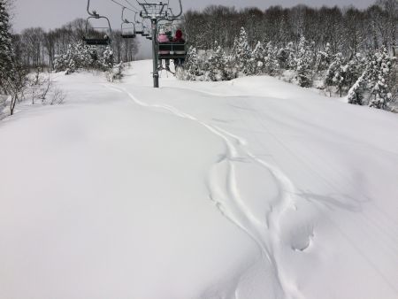 f0107543_12333359.jpg