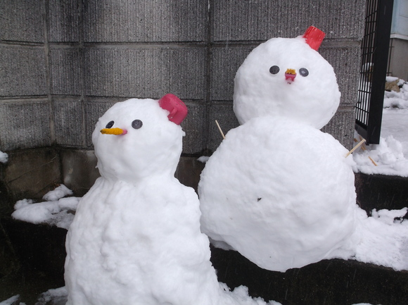 大雪 そして我が家の作品_a0206345_18283862.jpg