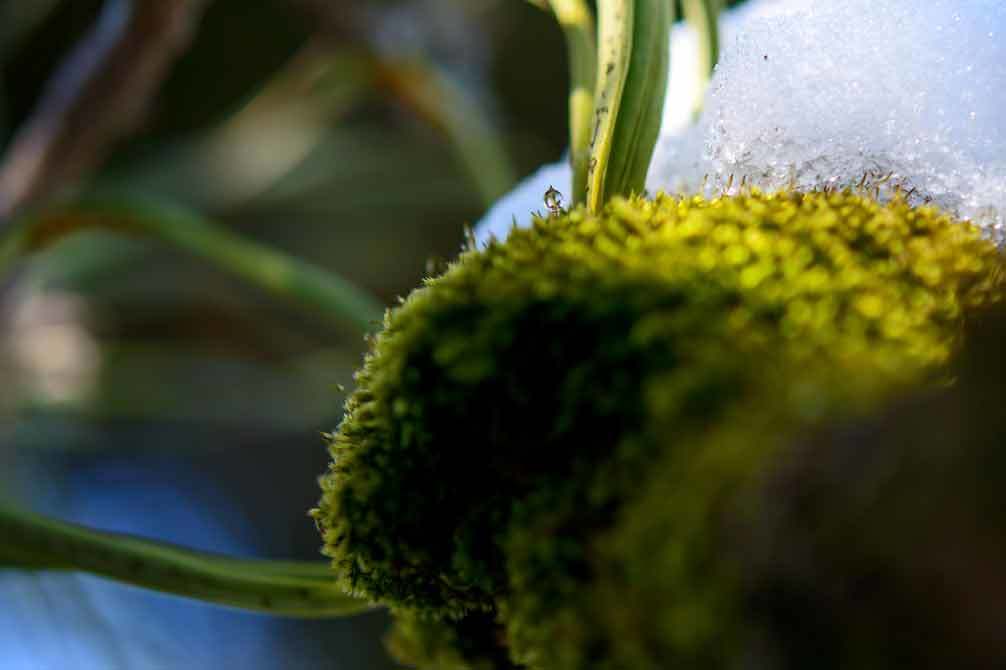 d0238245_13164088.jpg