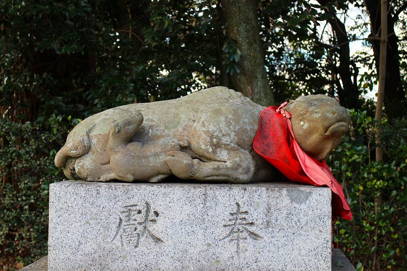 北野天満宮の神様の使い『神牛』20160116_e0237645_10503019.jpg