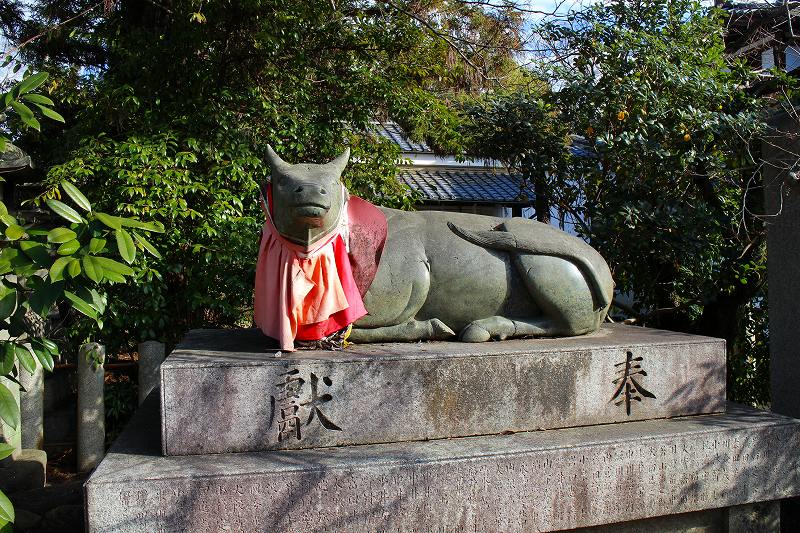 北野天満宮の神様の使い『神牛』20160116_e0237645_10512068.jpg