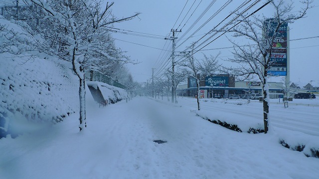 「南国の大雪」_f0201348_17534545.jpg