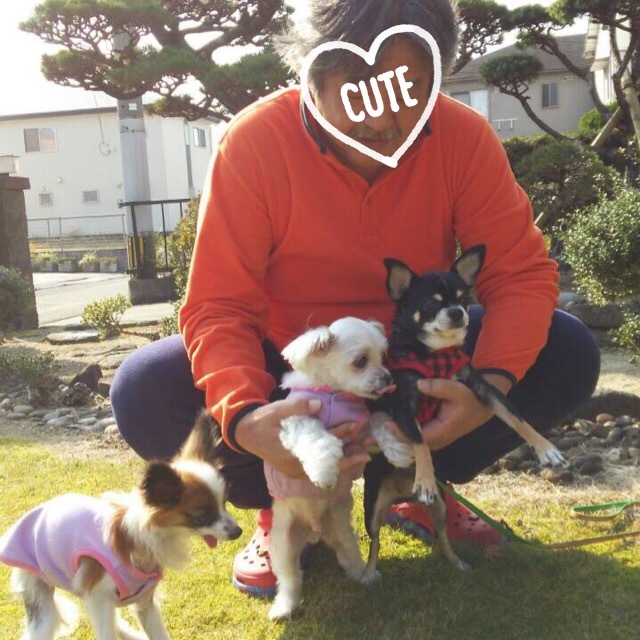 c0342854_01024717.jpeg