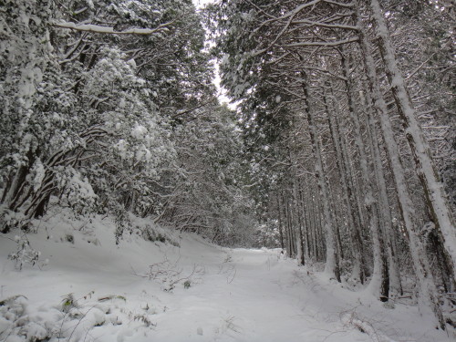 c0256558_16322521.jpg