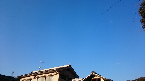 c0328559_17341022.jpg