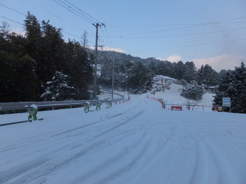 1/25の雪景色_d0336460_17461974.jpg