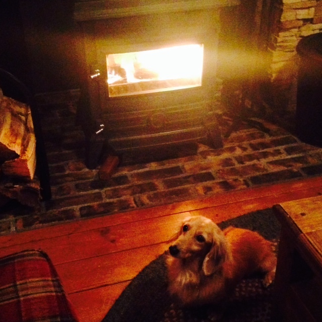 c0327061_20510336.jpeg