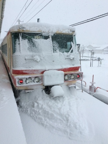 大雪にも負けず、運行中です_a0243562_12184664.jpeg