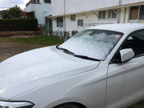 雪~♪_f0164662_9202824.png