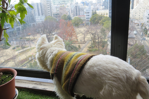 調子に乗って来た_b0107163_01551446.jpg