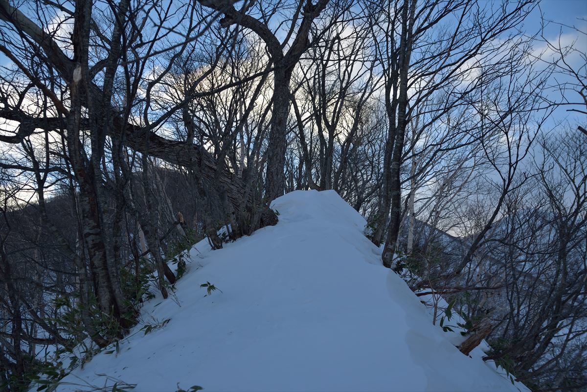 厳冬期の南日高・野塚岳～1月11日～_b0281366_16001150.jpg