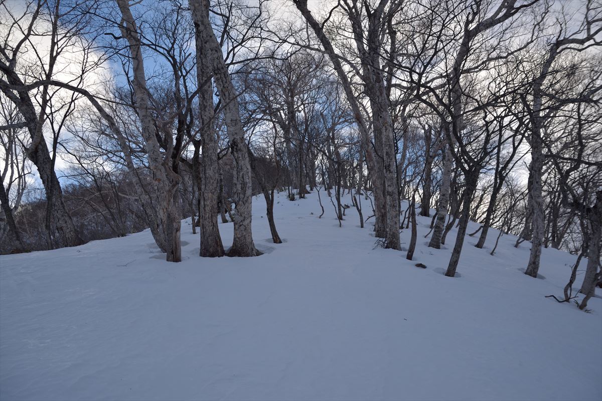 厳冬期の南日高・野塚岳～1月11日～_b0281366_16010159.jpg