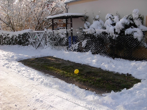 e0357367_1638163.jpg
