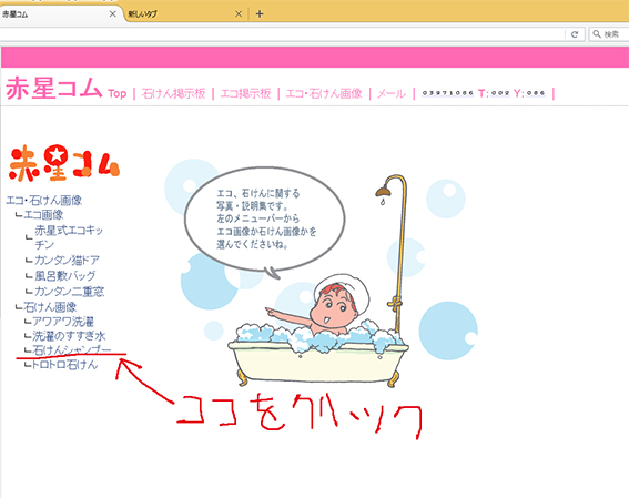 石けんシャンプーについて1_b0019674_0312014.jpg