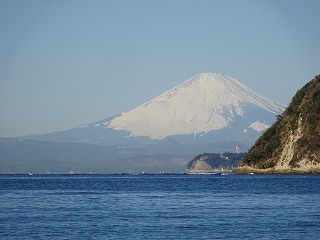 流行りものに食いつくなんて_d0353074_17160450.jpg