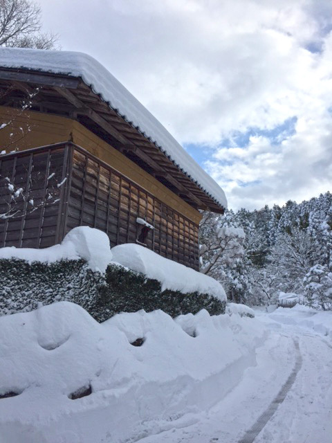 ようやく雪国らしくなりました。しかし!_c0127476_16080514.jpg