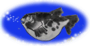 b0032380_16380088.gif