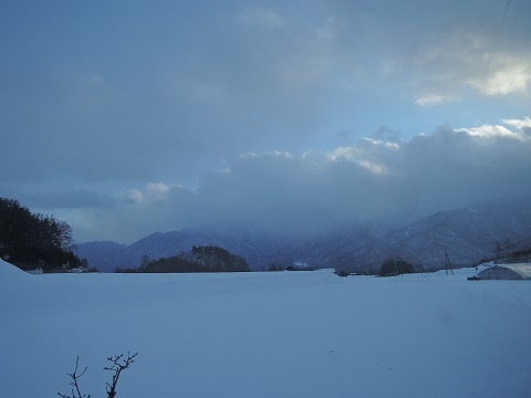 寒い日が続いております~(T_T)_a0211886_17105563.jpg