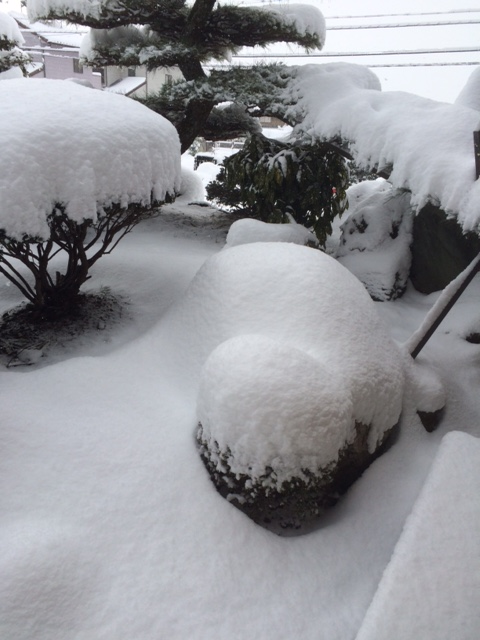 a0113889_1113614.png