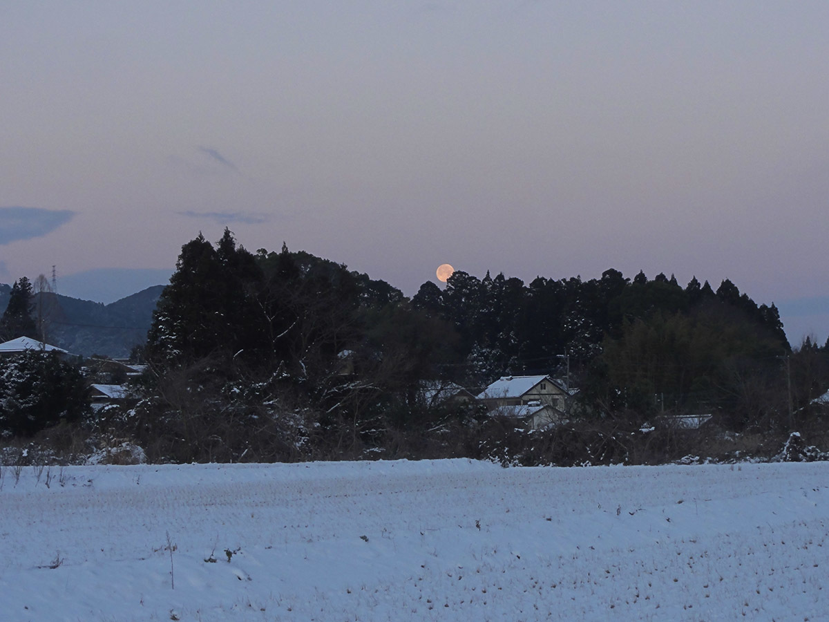 1月25日の太陽_e0174091_11525405.jpg
