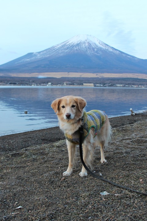 そうだ富士山を見に行こう!2016 後半_c0196992_22345572.jpg