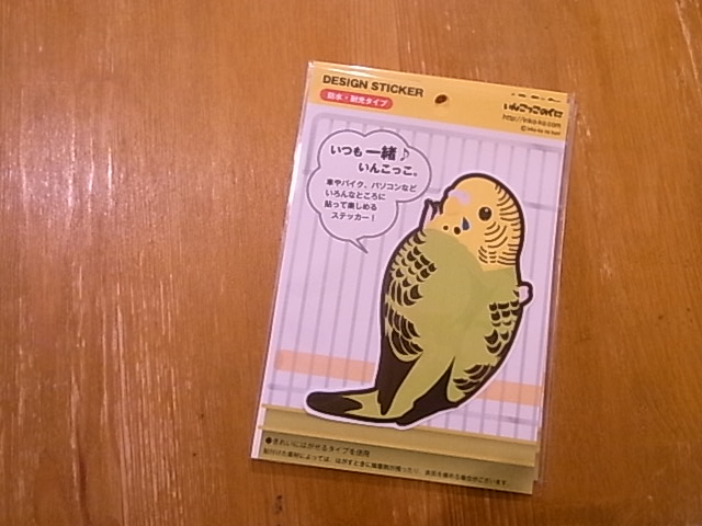 東急ハンズ梅田インコと鳥の雑貨展納品しました。そして、、_d0322493_10352057.jpg