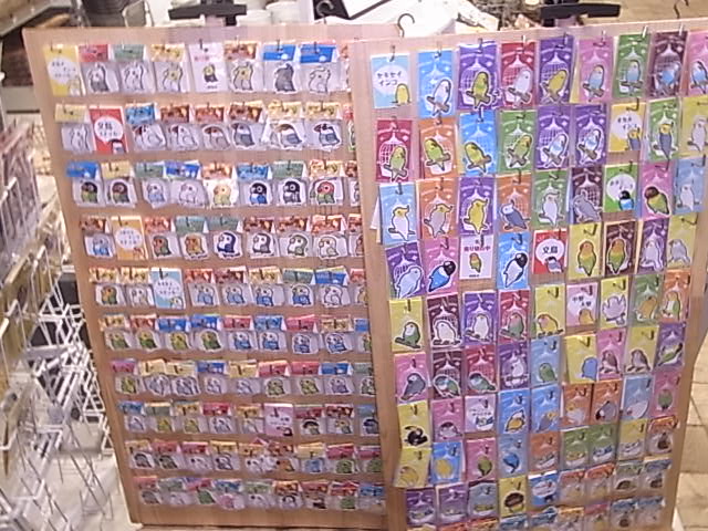 東急ハンズ梅田インコと鳥の雑貨展納品しました。そして、、_d0322493_10403483.jpg