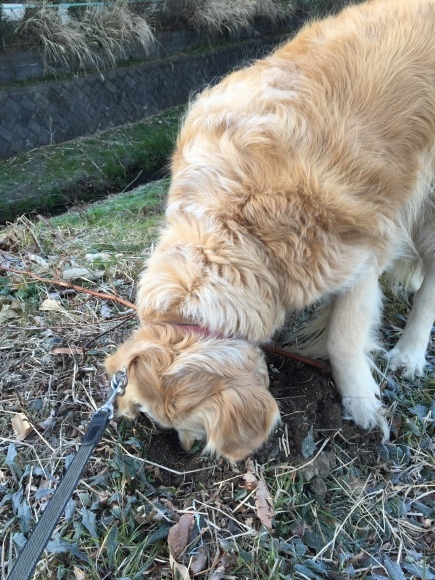 b0275998_11210630.jpeg