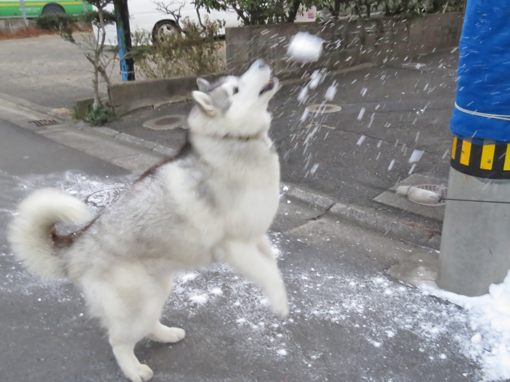 真冬の旅路♪　(^_-)_c0049299_2219969.jpg