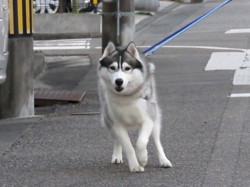 真冬の旅路♪　(^_-)_c0049299_22223496.jpg