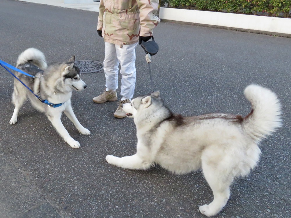 真冬の旅路♪　(^_-)_c0049299_2223292.jpg