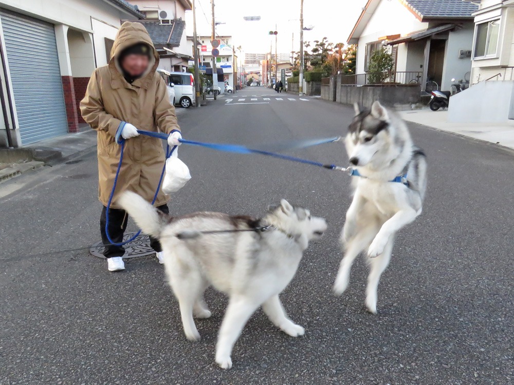 真冬の旅路♪　(^_-)_c0049299_2224142.jpg