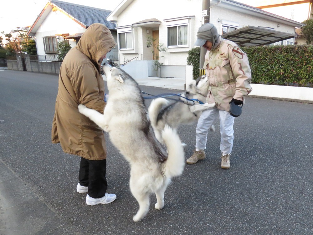 真冬の旅路♪　(^_-)_c0049299_2224574.jpg