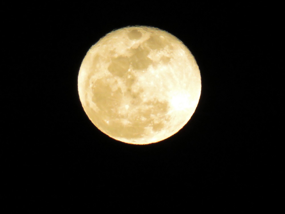 c0049299_22323832.jpg