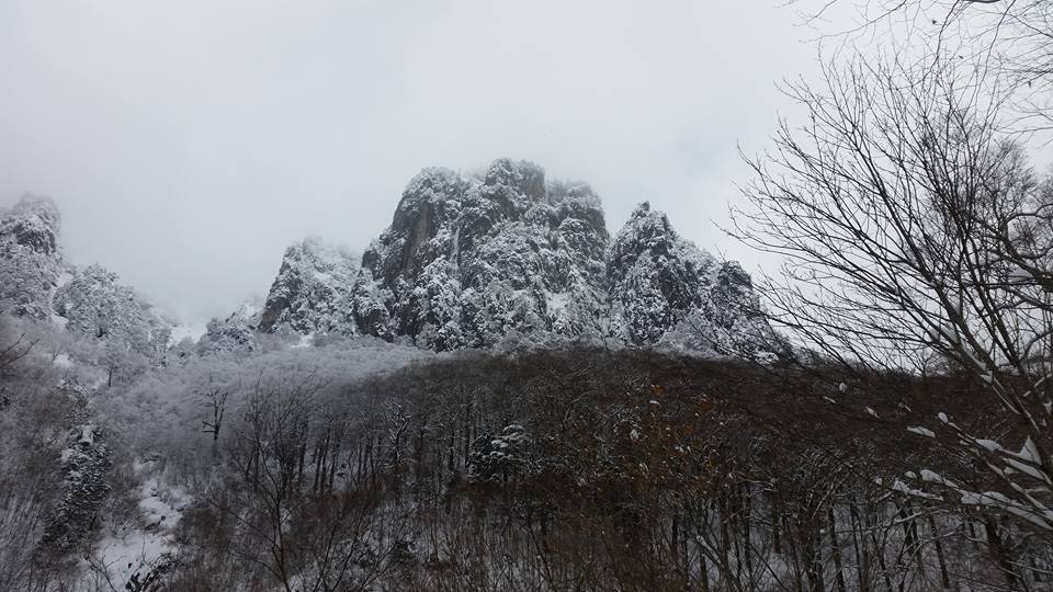 錫杖岳クライミング_d0237801_23515125.jpg