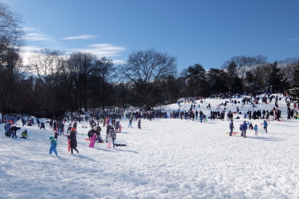 セントラルパークで雪ソリ遊びするならココ、Cedar Hill_b0007805_22264418.jpg