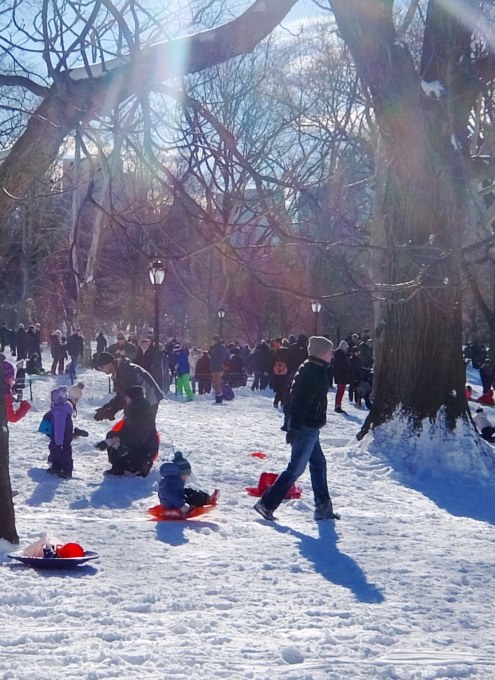 セントラルパークで雪ソリ遊びするならココ、Cedar Hill_b0007805_22271029.jpg