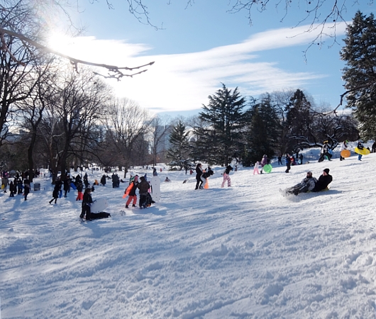 セントラルパークで雪ソリ遊びするならココ、Cedar Hill_b0007805_2227552.jpg