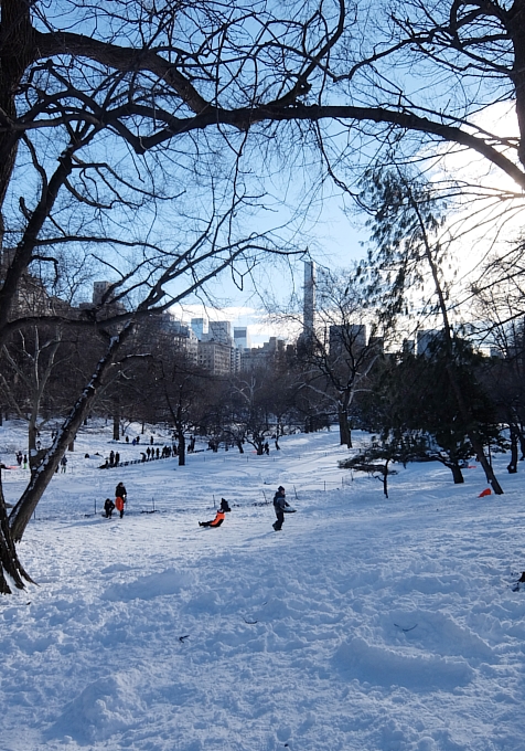 大雪翌日のNY、白銀のセントラルパークへ!!!_b0007805_5535971.jpg