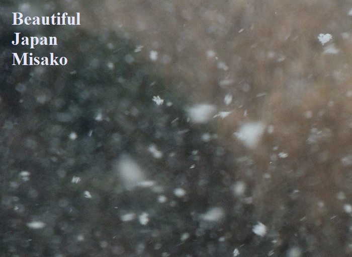 沖縄に・・・雪・・・．｡･：*：･ﾟ`☆､｡ - Beautiful Japan 絵空事